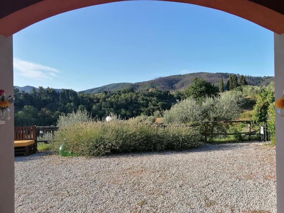 Olivia B&B And Apartment Cantagrillo Esterno foto