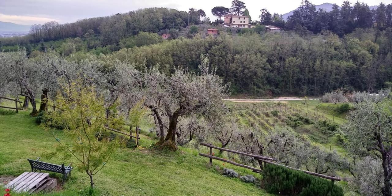 Olivia B&B And Apartment Cantagrillo Esterno foto